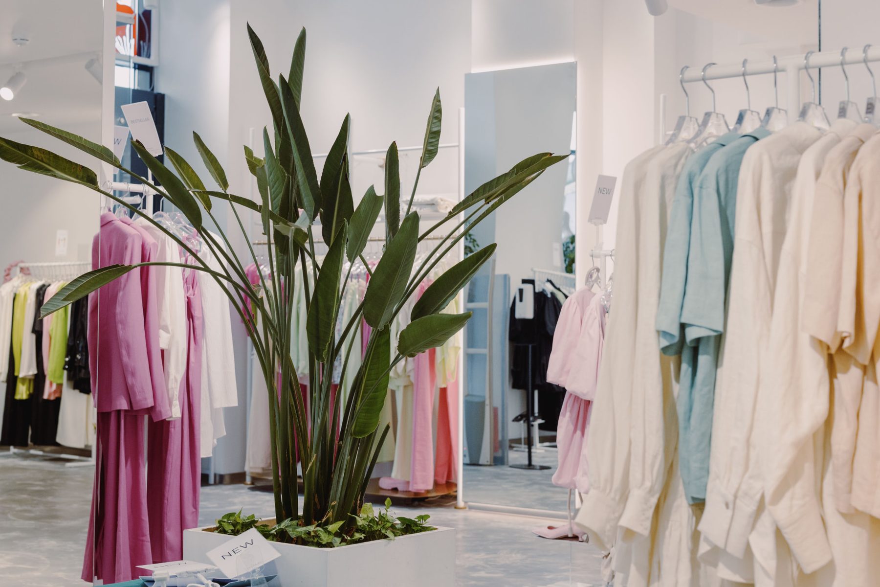 Contexto visual del proyecto Andrea’s Collection