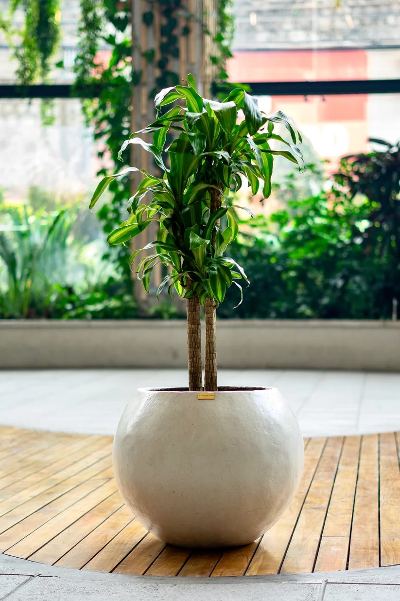 Aplicación del diseño para Casa Gardena