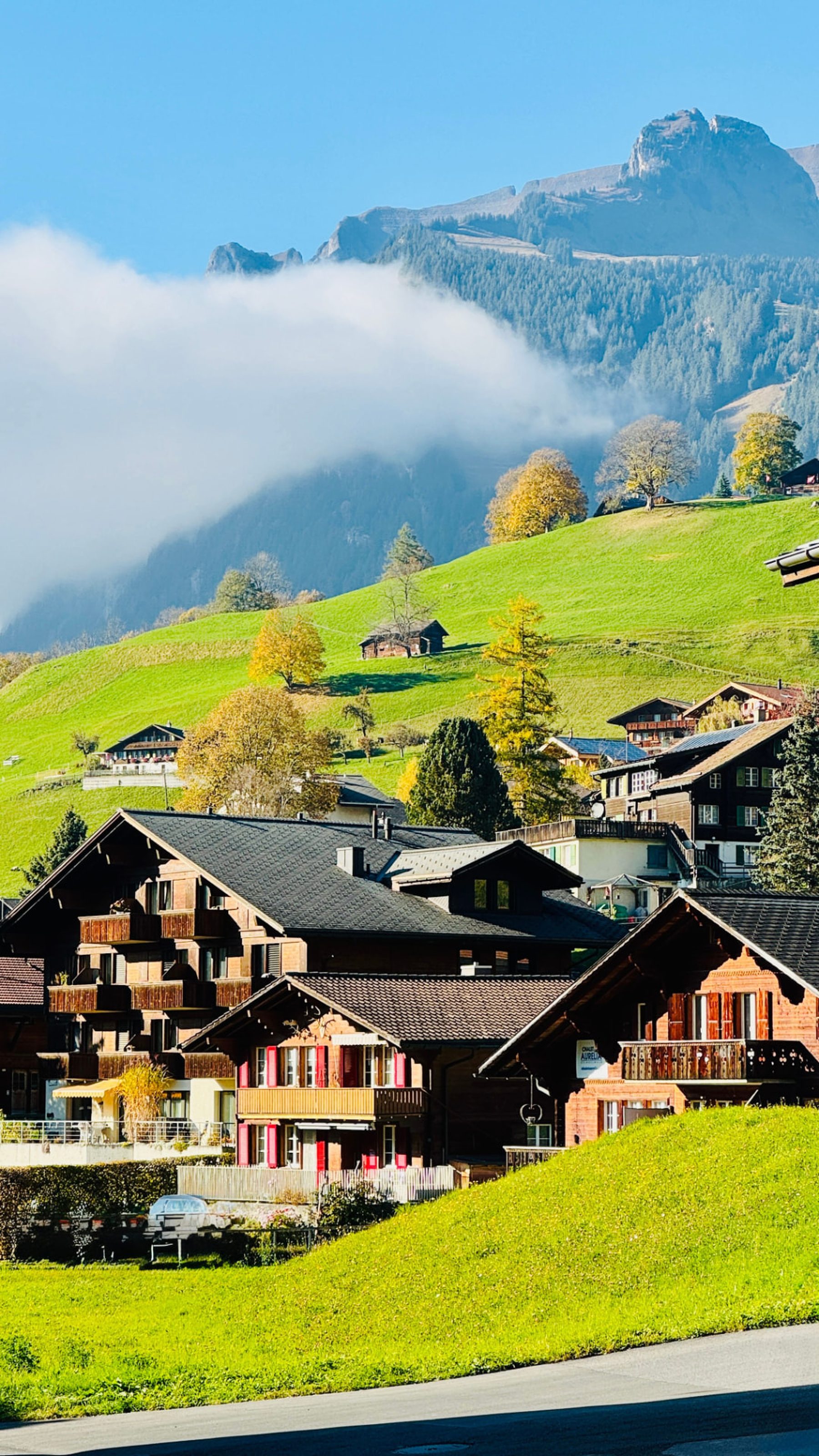 Contexto visual del proyecto Feel Zurich Tours