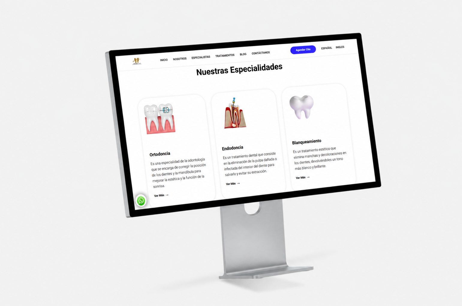 Detalle visual del proyecto